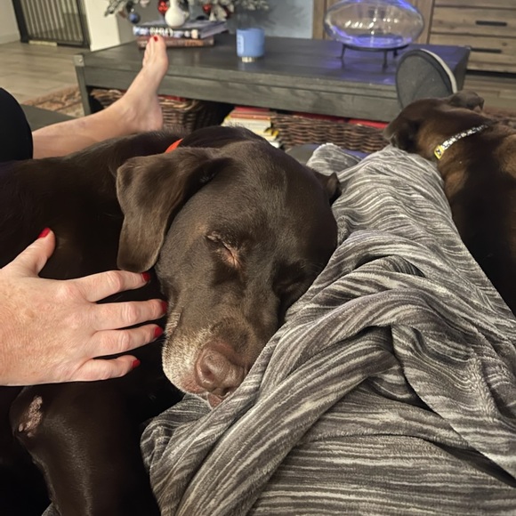 Meet your Posher, Angela - Picture 3 of 16